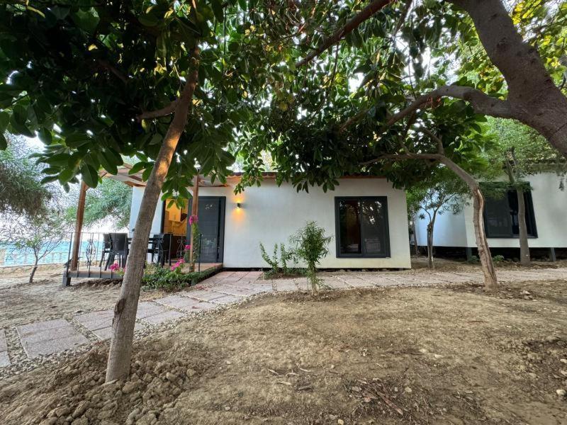 Otelox Ayas Beach Bungalov Erdemli Ngoại thất bức ảnh